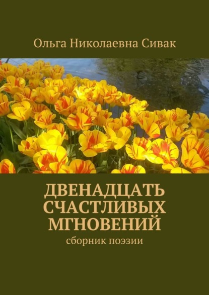 Скачать книгу Двенадцать счастливых мгновений. Сборник поэзии