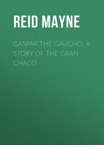 Скачать книгу Gaspar the Gaucho: A Story of the Gran Chaco