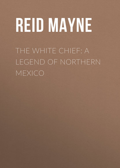 Скачать книгу The White Chief: A Legend of Northern Mexico