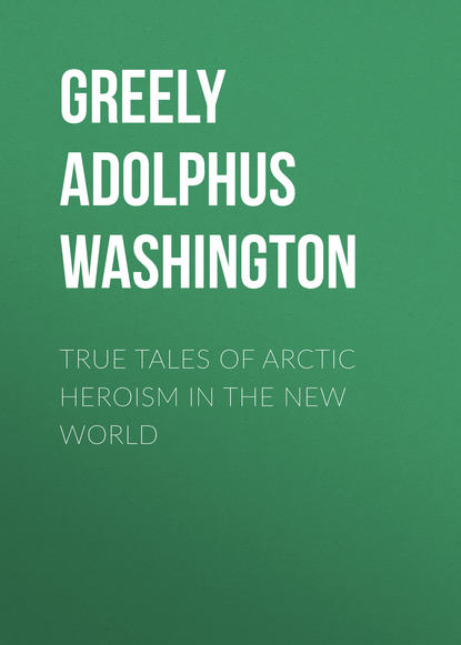 Скачать книгу True Tales of Arctic Heroism in the New World