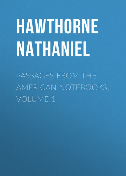 Скачать книгу Passages from the American Notebooks, Volume 1