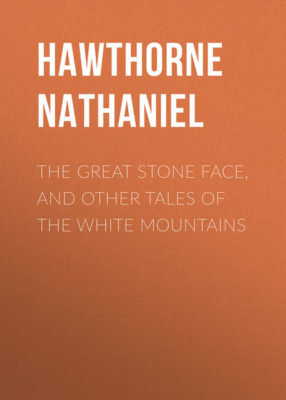 Скачать книгу The Great Stone Face, and Other Tales of the White Mountains