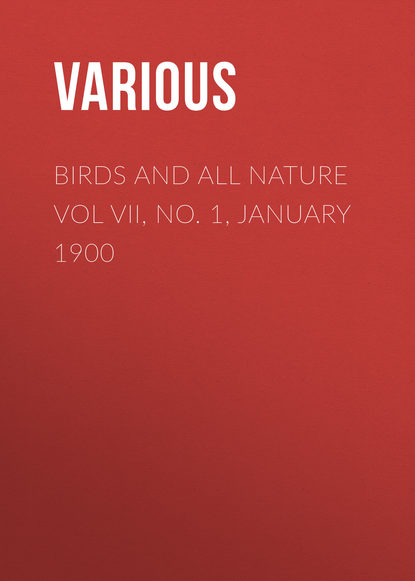 Скачать книгу Birds and All Nature Vol VII, No. 1, January 1900