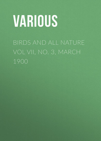 Скачать книгу Birds and all Nature Vol VII, No. 3, March 1900