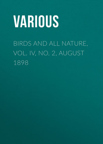 Скачать книгу Birds and all Nature, Vol. IV, No. 2, August 1898