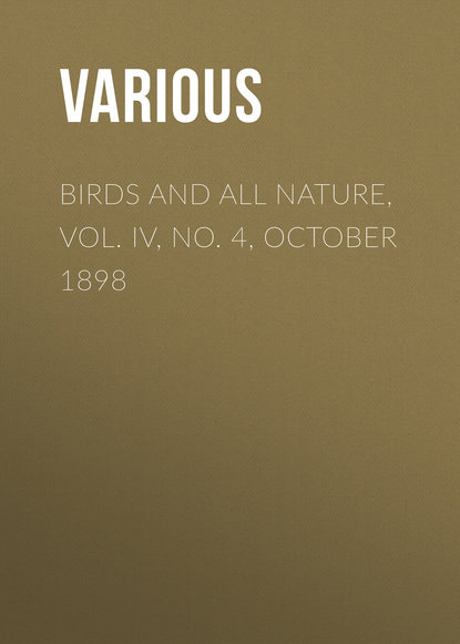 Скачать книгу Birds and all Nature, Vol. IV, No. 4, October 1898