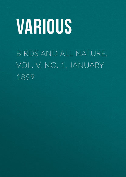 Скачать книгу Birds and all Nature, Vol. V, No. 1, January 1899