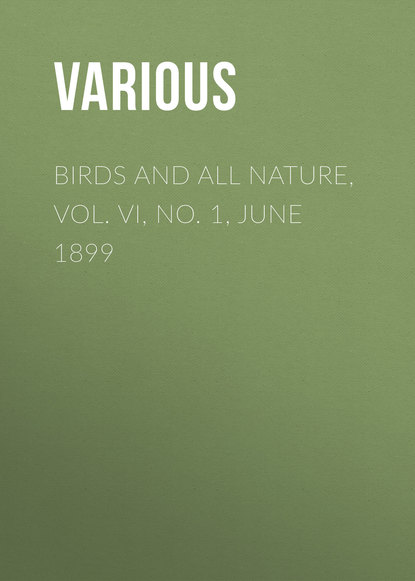 Скачать книгу Birds and All Nature, Vol. VI, No. 1, June 1899