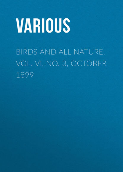 Скачать книгу Birds and All Nature, Vol. VI, No. 3, October 1899