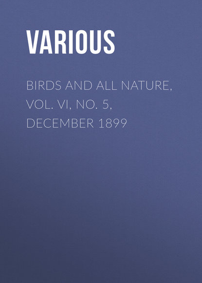 Скачать книгу Birds and All Nature, Vol. VI, No. 5, December 1899