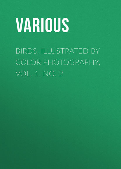 Скачать книгу Birds, Illustrated by Color Photography, Vol. 1, No. 2