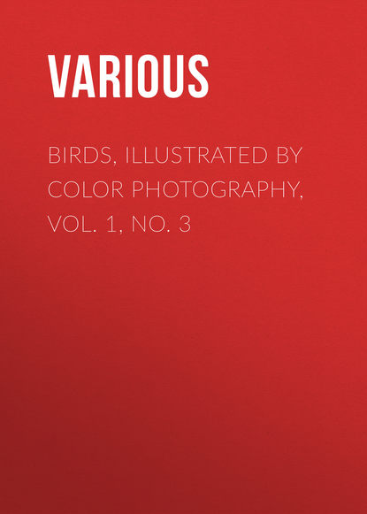 Скачать книгу Birds, Illustrated by Color Photography, Vol. 1, No. 3