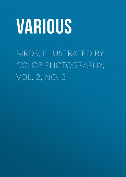 Скачать книгу Birds, Illustrated by Color Photography, Vol. 2, No. 3