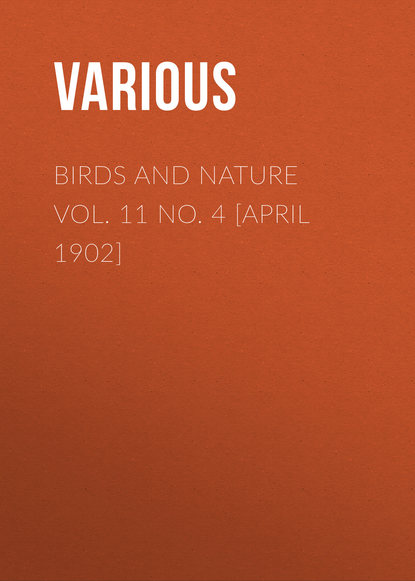 Скачать книгу Birds and Nature Vol. 11 No. 4 [April 1902]