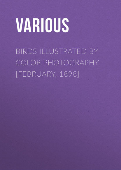 Скачать книгу Birds Illustrated by Color Photography [February, 1898]