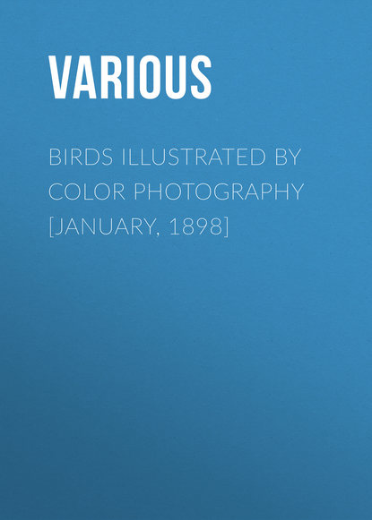 Скачать книгу Birds Illustrated by Color Photography [January, 1898]