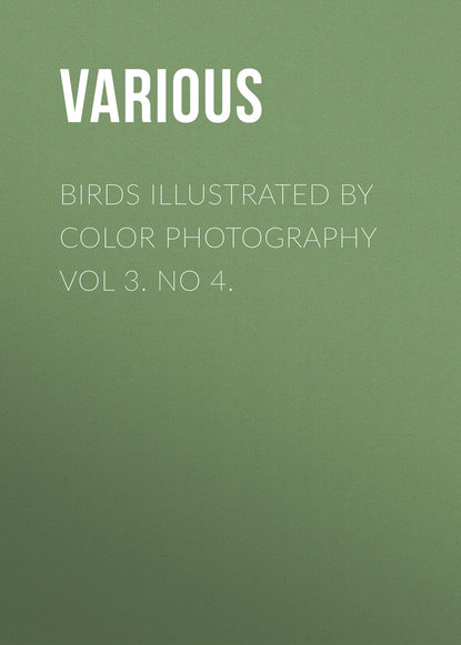 Скачать книгу Birds Illustrated by Color Photography Vol 3. No 4.