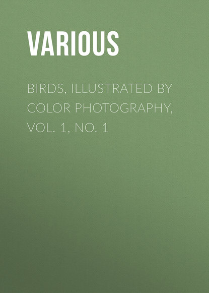 Скачать книгу Birds, Illustrated by Color Photography, Vol. 1, No. 1