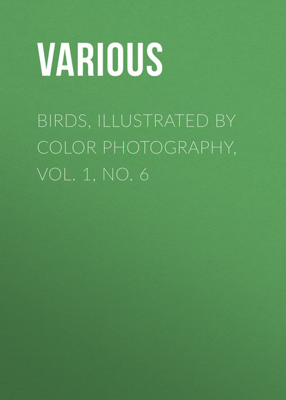 Скачать книгу Birds, Illustrated by Color Photography, Vol. 1, No. 6