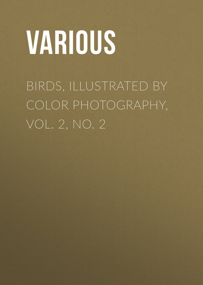 Скачать книгу Birds, Illustrated by Color Photography, Vol. 2, No. 2