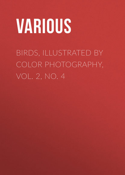 Скачать книгу Birds, Illustrated by Color Photography, Vol. 2, No. 4