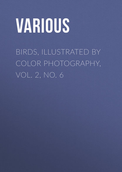 Скачать книгу Birds, Illustrated by Color Photography, Vol. 2, No. 6