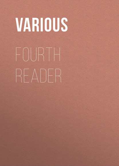 Скачать книгу Fourth Reader