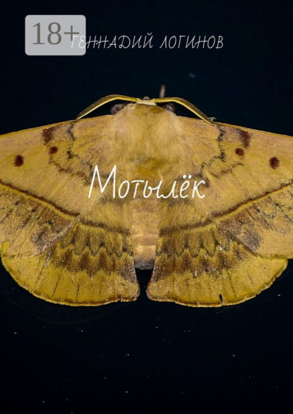 Скачать книгу Мотылёк