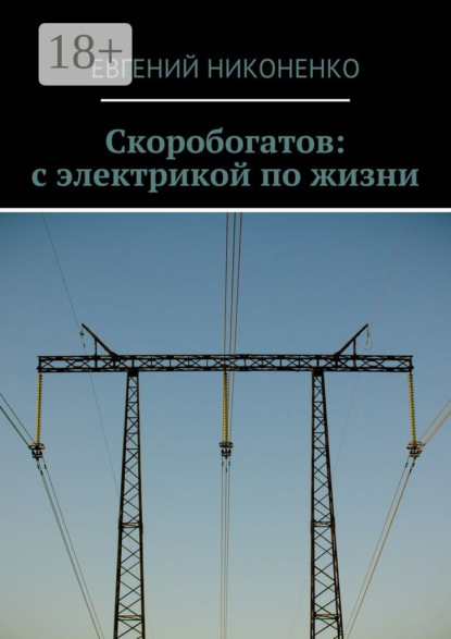 Скачать книгу Скоробогатов: с электрикой по жизни