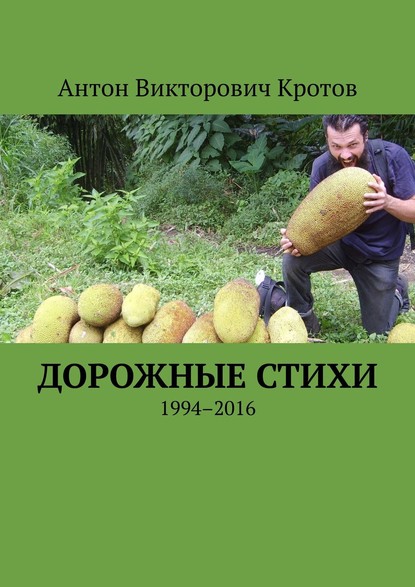Дорожные стихи. 1994–2016