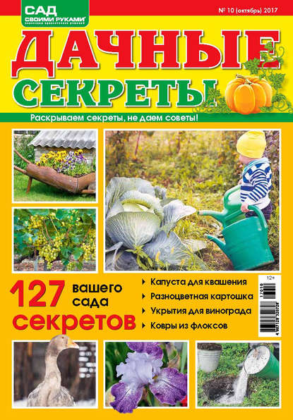 Скачать книгу Дачные секреты №10/2017