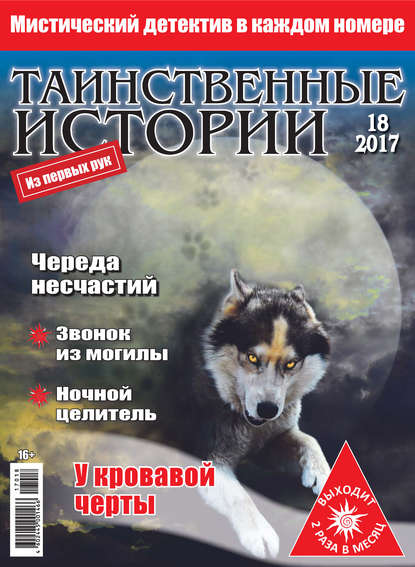 Скачать книгу Таинственные истории №18/2017