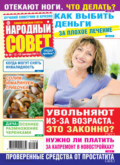 Скачать книгу Народный совет №38/2017