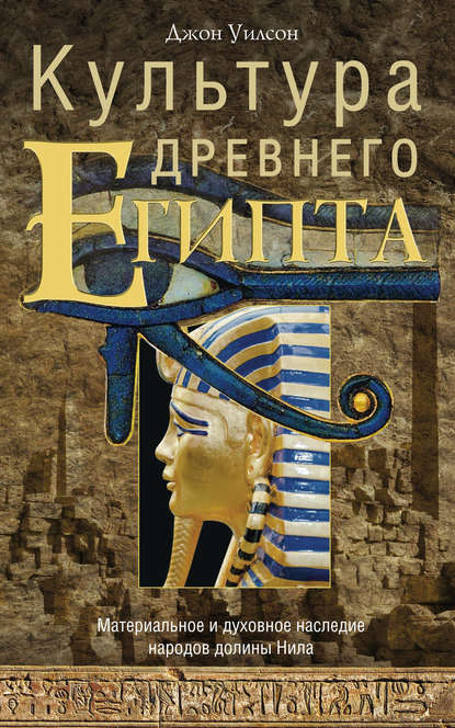 Скачать книгу Культура Древнего Египта. Материальное и духовное наследие народов долины Нила