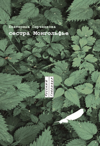 Скачать книгу Сестра Монгольфье