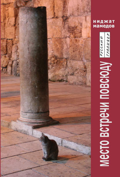 Скачать книгу Место встречи повсюду. Стихотворения, эссе, интервью.