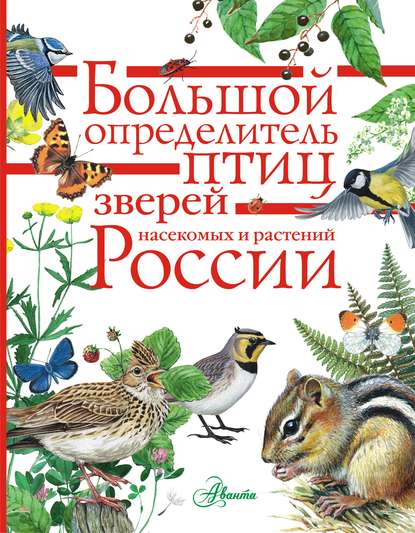 Скачать книгу Большой определитель птиц, зверей, насекомых и растений России