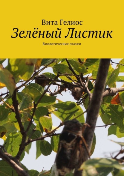 Скачать книгу Зелёный Листик. Биологические сказки