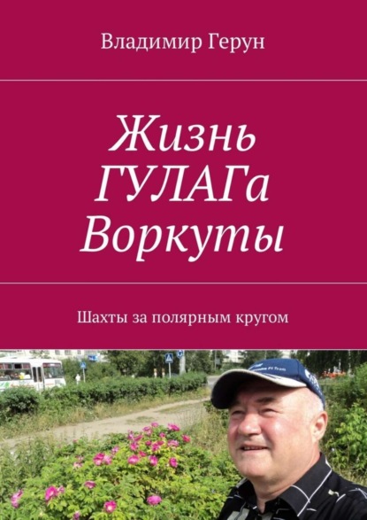 Скачать книгу Жизнь ГУЛАГа Воркуты. Шахты за полярным кругом