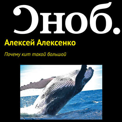 Скачать книгу Почему кит такой большой