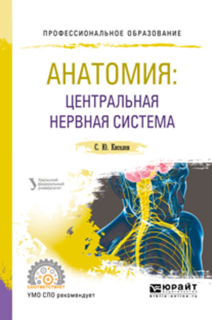 Скачать книгу Анатомия: центральная нервная система. Учебное пособие для СПО