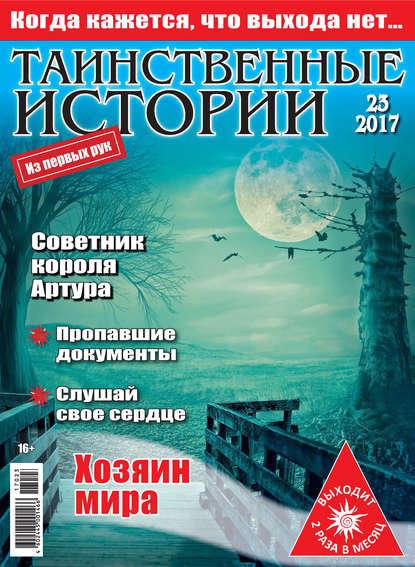 Скачать книгу Таинственные истории №23/2017