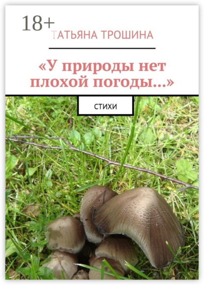 Скачать книгу «У природы нет плохой погоды…». Стихи