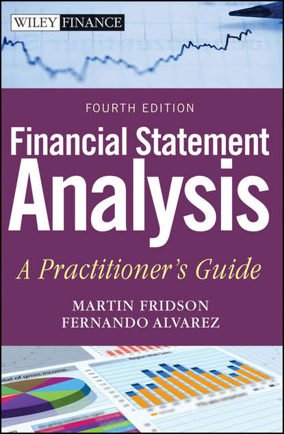 Скачать книгу Financial Statement Analysis. A Practitioner's Guide