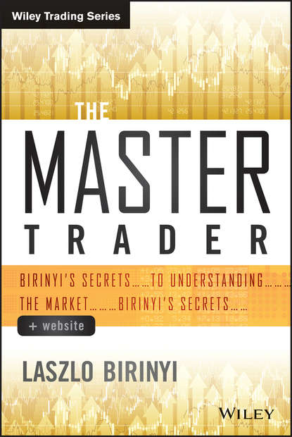 Скачать книгу The Master Trader. Birinyi's Secrets to Understanding the Market