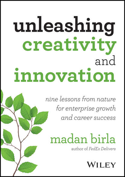 Скачать книгу Unleashing Creativity and Innovation. Nine Lessons from Nature for Enterprise Growth and Career Success