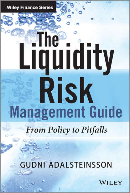 Скачать книгу The Liquidity Risk Management Guide. From Policy to Pitfalls