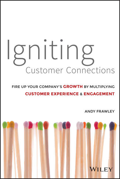 Скачать книгу Igniting Customer Connections. Fire Up Your Company's Growth By Multiplying Customer Experience and Engagement