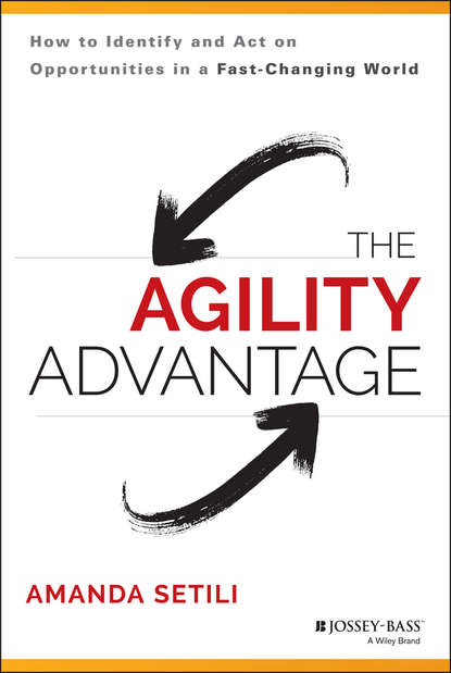 Скачать книгу The Agility Advantage. How to Identify and Act on Opportunities in a Fast-Changing World