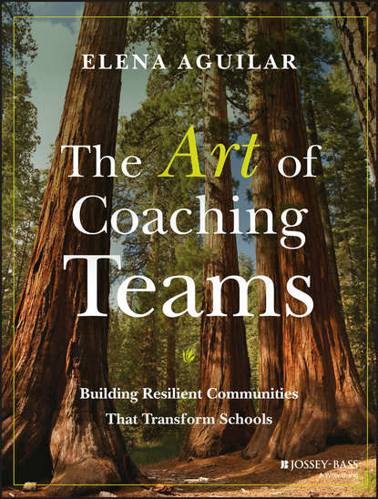 Скачать книгу The Art of Coaching Teams. Building Resilient Communities that Transform Schools